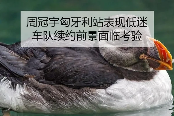 zhou-guan-yu-xiong-ya-li-zhan-biao-xian-di-mi-che-dui-xu-yue-qian-jing-mian-lin-kao-yan-2-448.jpg