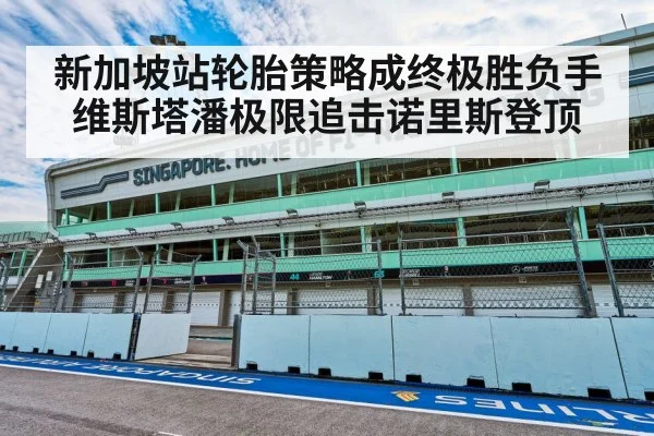 新加坡站轮胎策略成终极胜负手 维斯塔潘极限追击诺里斯登顶
